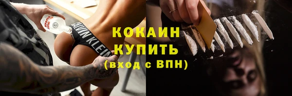 сатива Вяземский