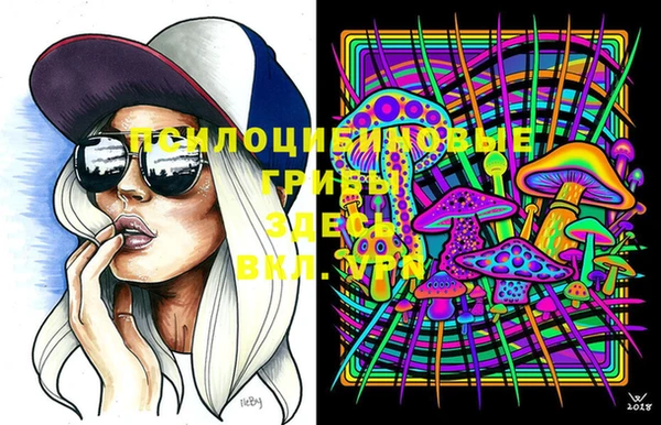 сатива Вяземский