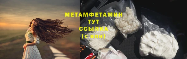 сатива Вяземский