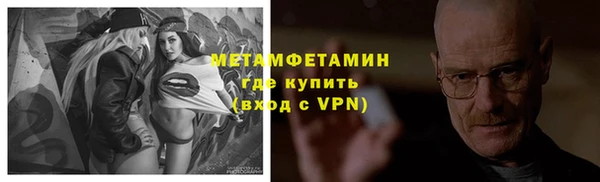 сатива Вяземский