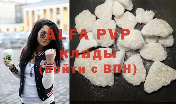 сатива Вяземский