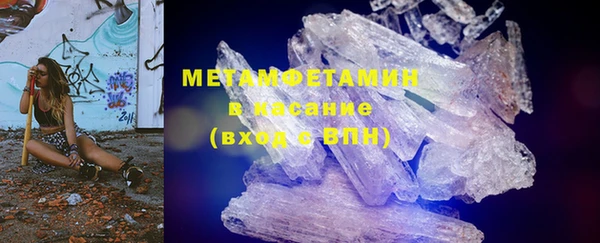 сатива Вяземский
