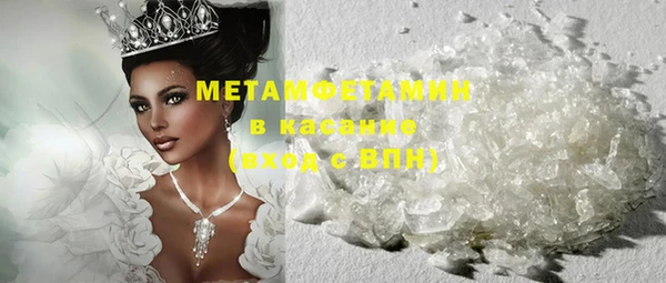 сатива Вяземский