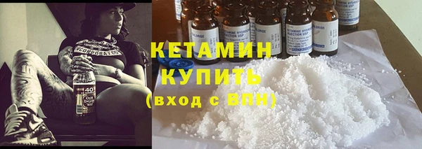 сатива Вяземский