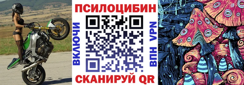 Купить  Далматово  Галлюциногенные грибы мухоморы 